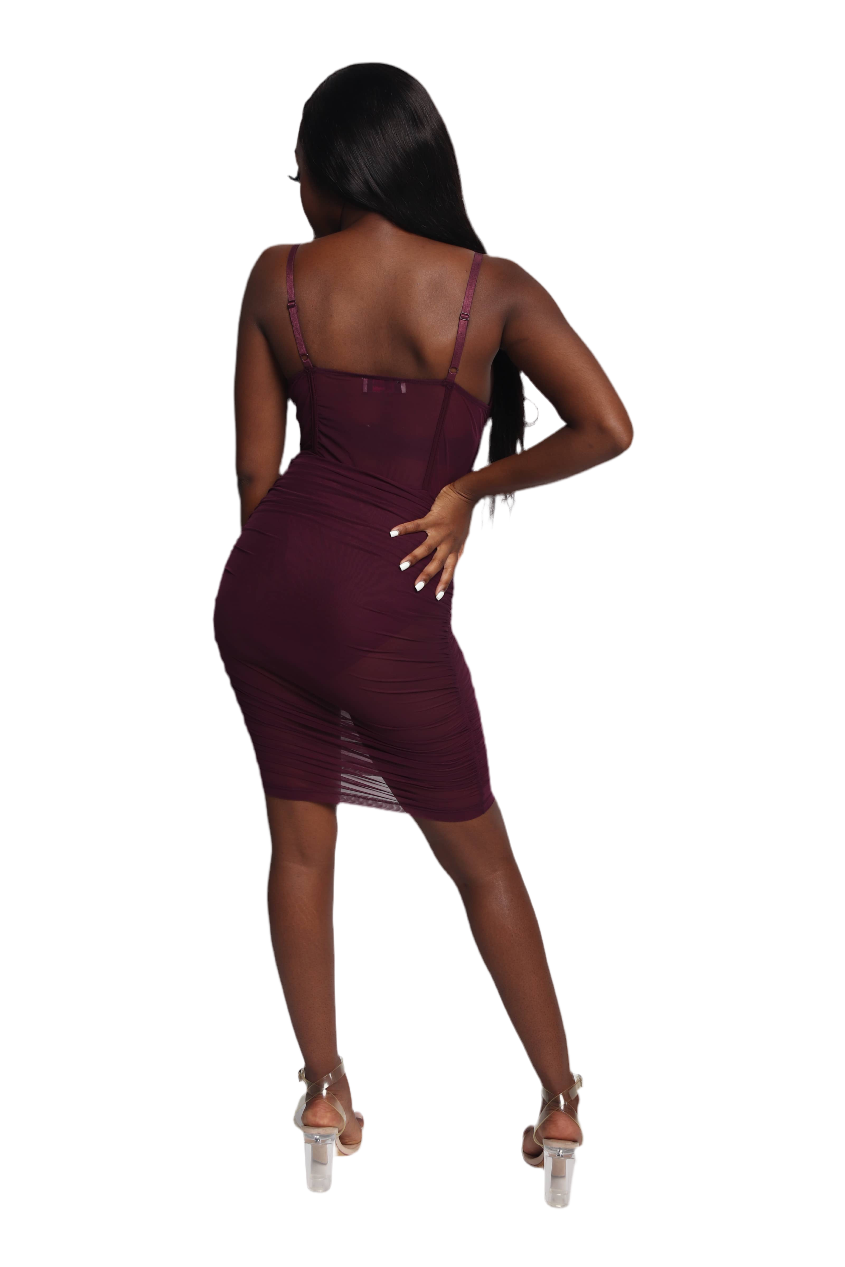 Sasha Burgundy Mesh Dress